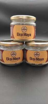 DOĞAL EKŞİ MAYA 100GR - 3